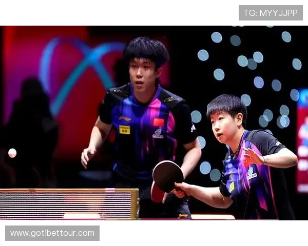 王楚钦连胜助队取胜 张本美和失利孙颖莎王曼昱休战乒超赛况更新