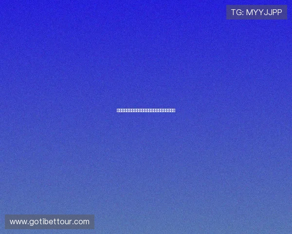 锋无力：从天赋到困境，揭示职业生涯中的选择与挑战